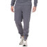 Фото #1 товара CALVIN KLEIN J30J319931 sweat pants