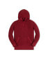 ფოტო #2 პროდუქტის Boys Organic Hooded Pullover Sweater, Infant