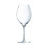 Фото #1 товара Набор бокалов для вина Chef&Sommelier Exaltation Прозрачный 750 ml (6 штук)