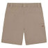 Фото #4 товара DICKIES Fincastle shorts