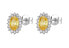 Elegant silver earrings Fancy Energy Yellow FEY11