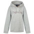 Фото #1 товара SUPERDRY Core Logo Source hoodie