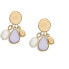 Charming gold-plated earrings with pearls SKJ1716710