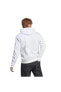 Фото #15 товара Erkek Sweatshirt Ic3746