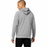 Men’s Hoodie Asics Big Oth Grey