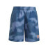 ADIDAS ORIGINALS All Over Print Pack swimming boxer