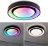 Фото #2 товара Lampa sufitowa Paulmann Panel Rainbow Dynamic 22W RGB Zmienna Biel Biały/czarny