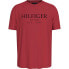 Фото #2 товара TOMMY HILFIGER Big short sleeve T-shirt