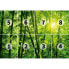 Фото #6 товара Fototapete Bamboo Forest I