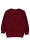 Erkek Çocuk Sweatshirt 2-5 Yaş Bordo