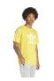 Altın Erkek Yuvarlak Yaka T-shirt Ir7977 Trefoıl
