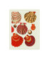 Фото #1 товара Fab Funky Red and Cream Clam Shells Canvas Art - 36.5" x 48"