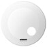 Evans 22" EQ3 Reso BD Coated White