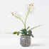 Фото #5 товара Künstliche weiß-gelbe Phalaenopsis