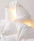 800 Fill Power European White Goose Down Heavyweight Duvet, Full/Queen