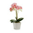 Фото #3 товара Декоративное растение Орхидея 20 x 47 x 33 cm Пластик (4 штук)