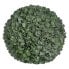 Фото #1 товара Декоративное растение Зеленый PVC 28 x 28 cm