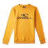 Фото #1 товара O´NEILL N4750003 N4750003 sweatshirt