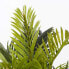Фото #10 товара Kunstpflanze Cycas-Palme