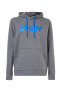 Фото #2 товара Hoodie Oakley B1B Po 2.0 New Athletic Grau-Ozone