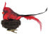 Фото #1 товара Vogel 20cm mit 7cm im Nest aus Zweigen