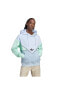 Фото #1 товара Erkek Sweatshirt Ia2532