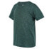 ფოტო #4 პროდუქტის REGATTA Fingal short sleeve T-shirt