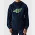 Фото #1 товара 4F Jr sweatshirt 4FJWSS24TSWSM0925 31S