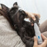 Фото #13 товара Электрическая пилка для домашних животных PediPet InnovaGoods