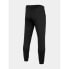 Фото #2 товара Trousers 4F M 4FSS23TFTRM167-20S