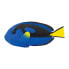 Фото #1 товара Фигурка Safari Ltd Blue Tang Figure Ocean Sea Life Creatures (Фигурка Safari Ltd Голубая хирург-рыба Морские обитатели океана)