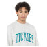 Фото #4 товара DICKIES Aitkin Sweatshirt