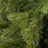 Weihnachtsbaum Kaukasische Tanne
