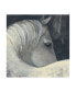 Фото #1 товара Albena Hristova Bijou Horse Canvas Art - 36.5" x 48"