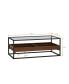 Rectangle Glass Coffee Table with Storage Shelf