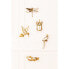 Wandschmuck Dragonfly Mirror