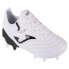 Фото #1 товара JOMA Aguila Cup FG football boots