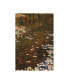 Kurt Shaffer Photographs November Reflections Canvas Art - 27" x 33.5"