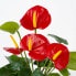 Kunstpflanze Anthurium