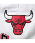 Фото #5 товара Men's White Chicago Bulls 6x NBA Finals Champions Mesh Capsule Shorts
