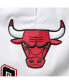 Men's White Chicago Bulls 6x NBA Finals Champions Mesh Capsule Shorts