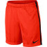 Фото #1 товара Nike Dry Squad Jacquard Junior 870121-852 football shorts