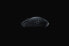 Фото #7 товара Razer Naga V2 HyperSpeed - Right-hand - Optical - RF Wireless + Bluetooth - 30000 DPI - Black