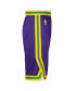ფოტო #3 პროდუქტის Nba Big Boys and Girls Purple Utah Jazz Classic Edition Swingman Shorts