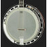 Фото #4 товара Gold Tone IT-250-F Irish Tenor Banjo w/C