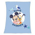 Decke Disney's Mickey Mouse