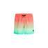 Фото #1 товара O'Neill Jack Cali Gradient 15'' Swim Shorts M 92800613575