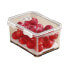 Joybos 5.5L Food container 2 Units Прозрачный - фото #4