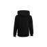 Фото #2 товара Champion Hooded Sweatshirt