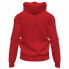 Фото #2 товара JOMA Champpionship IV hoodie